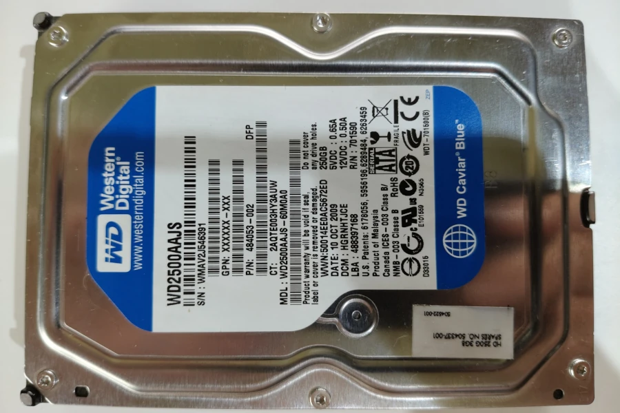 Dysk twardy WD Caviar Blue 250GB do zestawu PC z Windows XP